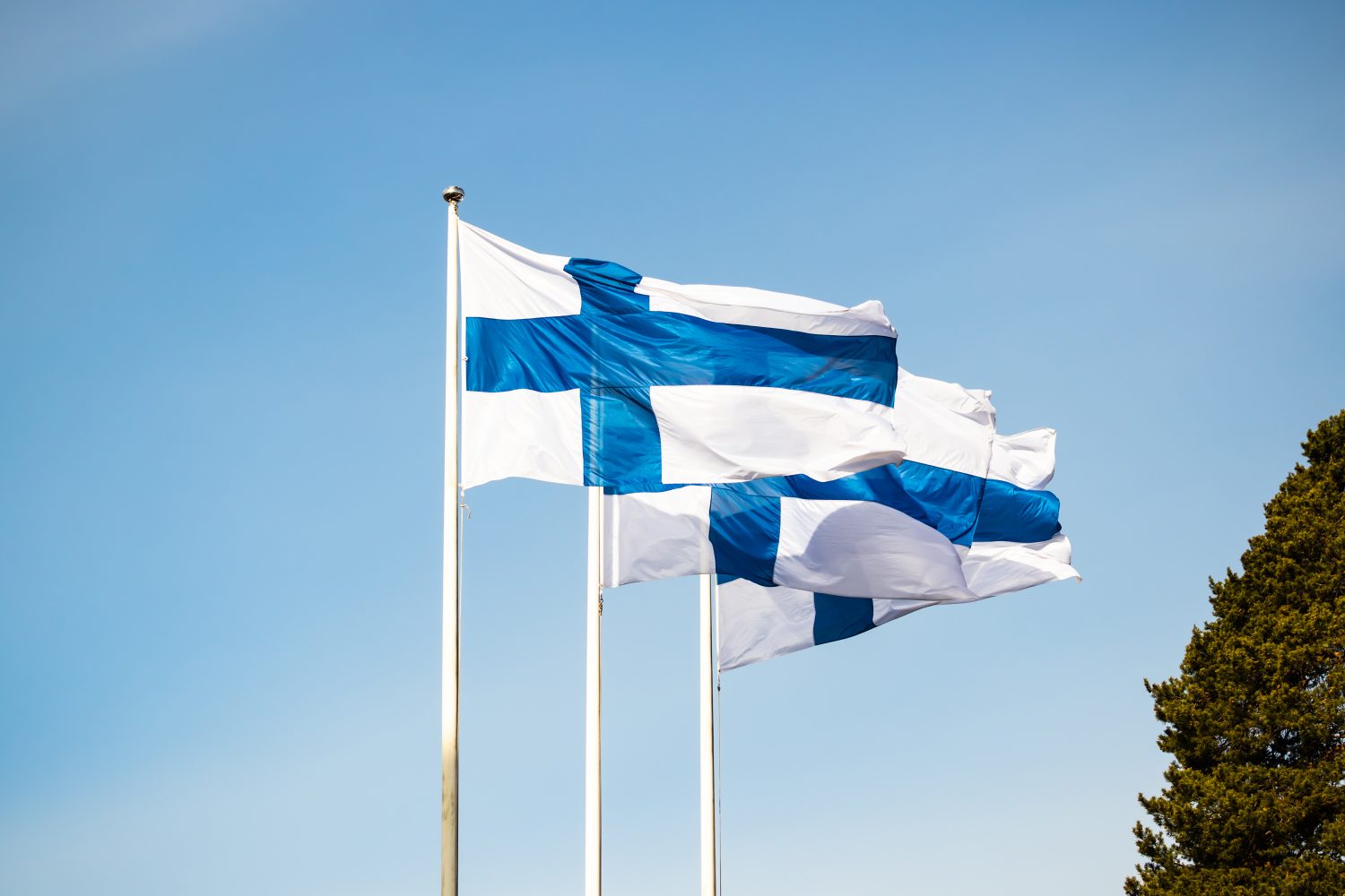 Suomalaiset juuret ja kieli lapsille ulkomailla